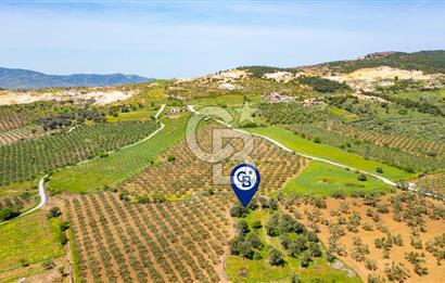 Foça Kocamehmetler'de Satılık 197 m2 Tarla