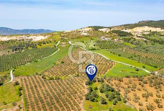 Foça Kocamehmetler'de Satılık 197 m2 Tarla - 2 - 312020