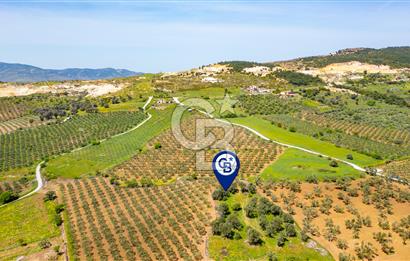 Foça Kocamehmetler'de Satılık 197 m2 Tarla