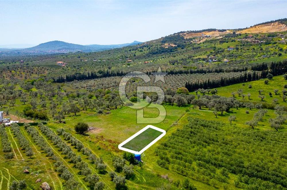 Foça Kocamehmetler'de Satılık 707 m2 Tarla