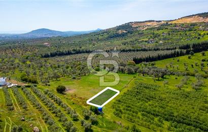 Foça Kocamehmetler'de Satılık 707 m2 Tarla