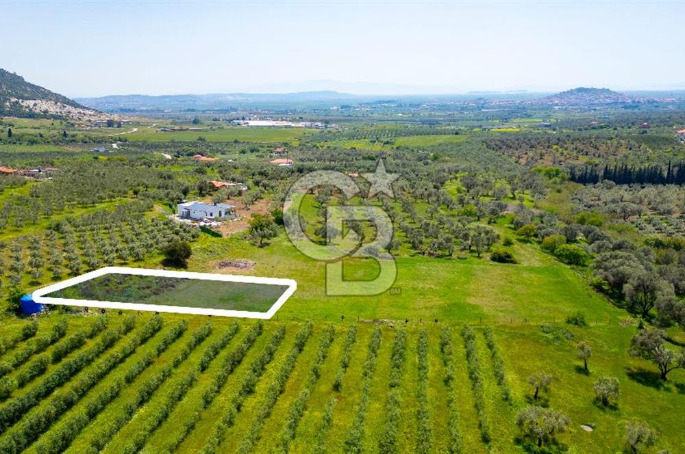 Foça Kocamehmetler'de Satılık 707 m2 Tarla