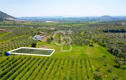 Foça Kocamehmetler'de Satılık 707 m2 Tarla