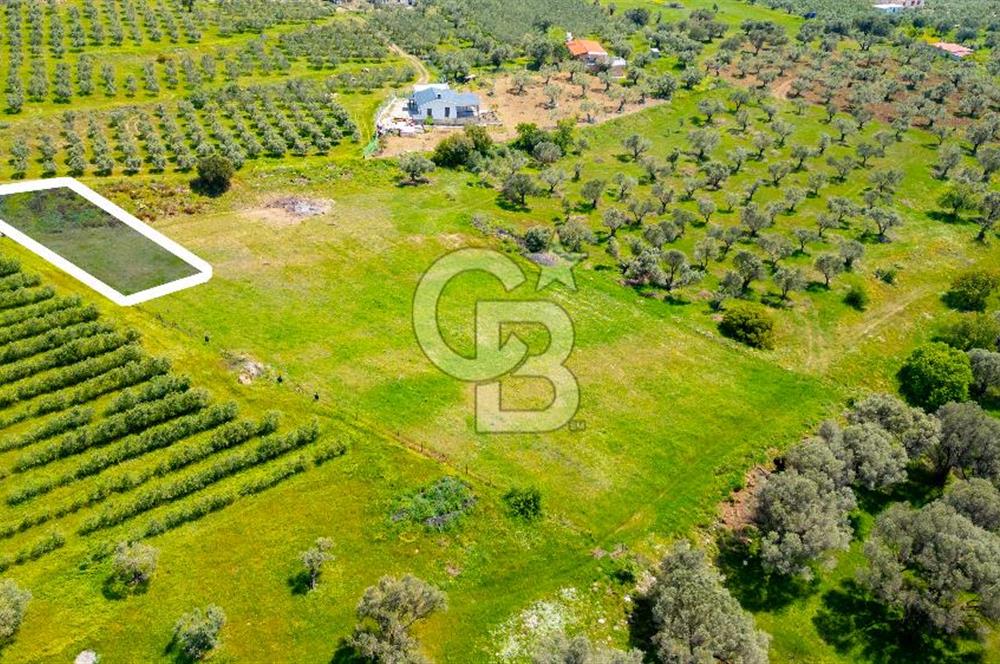 Foça Kocamehmetler'de Satılık 707 m2 Tarla