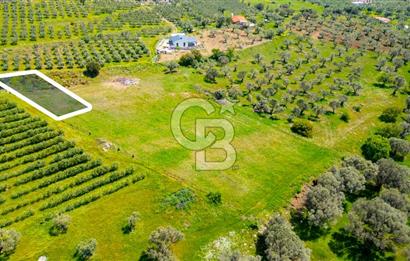 Foça Kocamehmetler'de Satılık 707 m2 Tarla