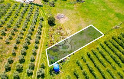 Foça Kocamehmetler'de Satılık 707 m2 Tarla