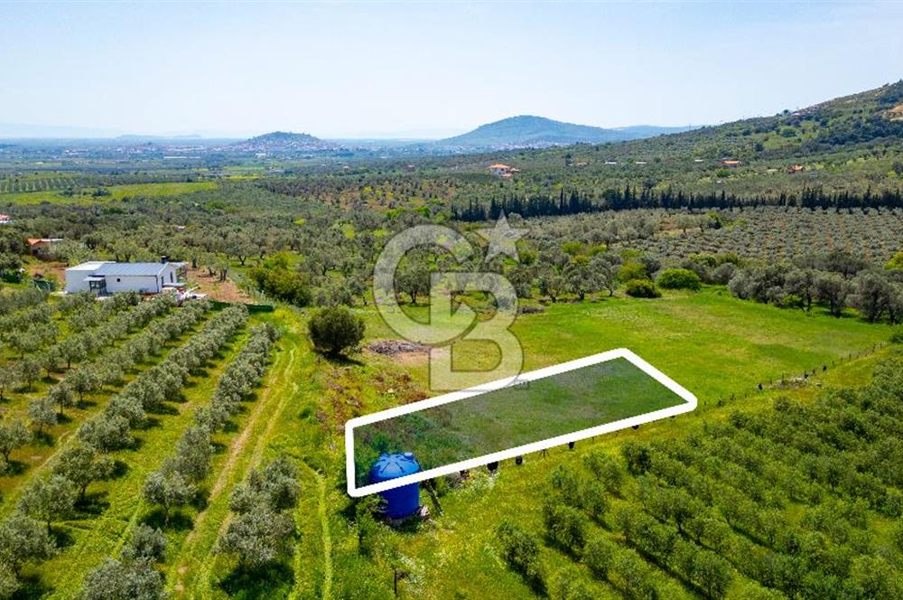 Foça Kocamehmetler'de Satılık 707 m2 Tarla