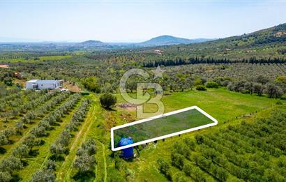 Foça Kocamehmetler'de Satılık 707 m2 Tarla