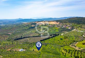 Foça Kocamehmetler'de Satılık 707 m2 Tarla - 3 - 312018