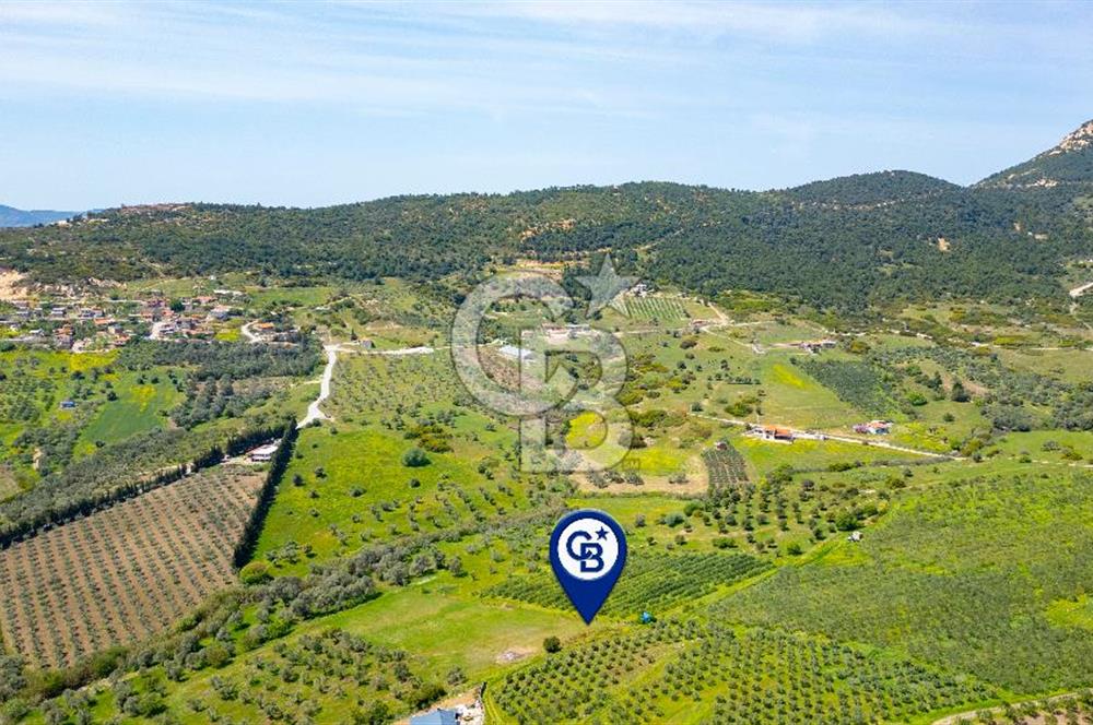 Foça Kocamehmetler'de Satılık 707 m2 Tarla