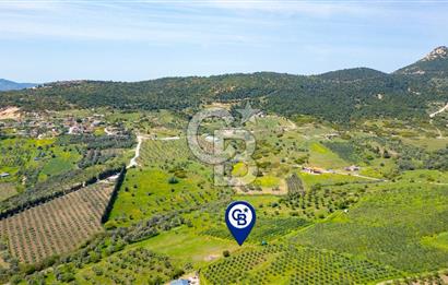 Foça Kocamehmetler'de Satılık 707 m2 Tarla