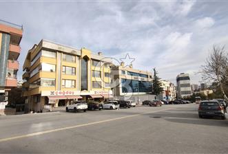 ÇANKAYA KATAR CADDESİ İŞYERİNE HAZIR KİRALIK 11+2 OFİS - 1 - 312028