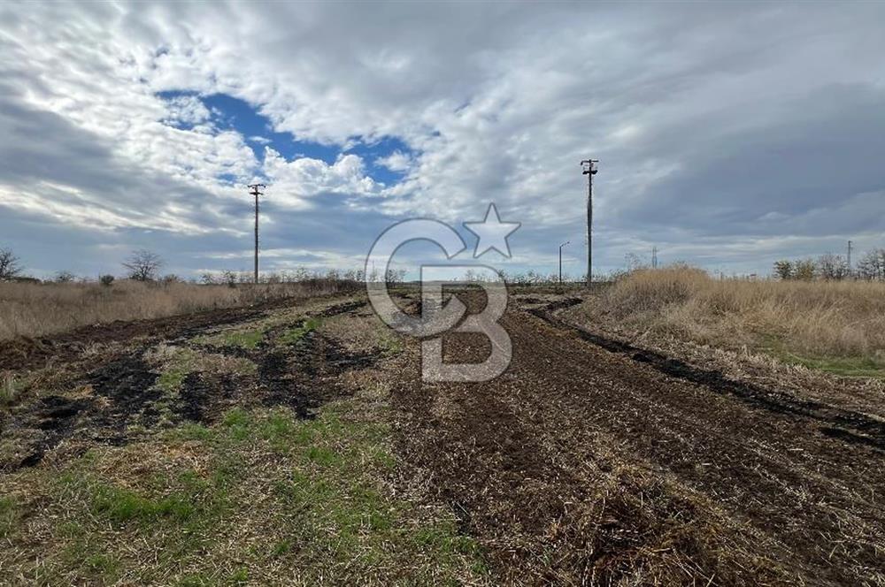 Edirne Merkez – Tayyakadın Köyü’nde Satılık Sanayi İmarlı Arsa
