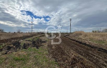 Edirne Merkez – Tayyakadın Köyü’nde Satılık Sanayi İmarlı Arsa