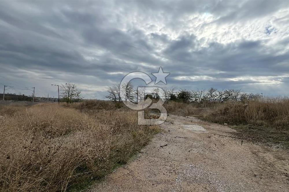 Edirne Merkez – Tayyakadın Köyü’nde Satılık Sanayi İmarlı Arsa