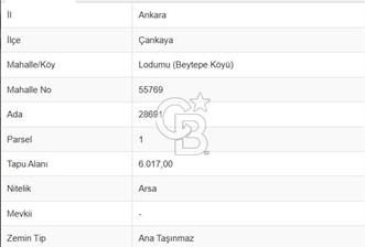 BEYTEPE DE SATILIK 1 ADET KOOPERATİF HİSSESİ - 1 - 311994