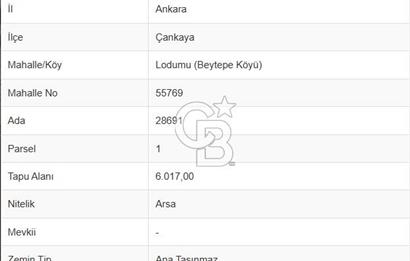 BEYTEPE DE SATILIK 1 ADET KOOPERATİF HİSSESİ