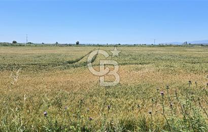 Foça Gerenköy Anayol Üzeri Satılık Tarla