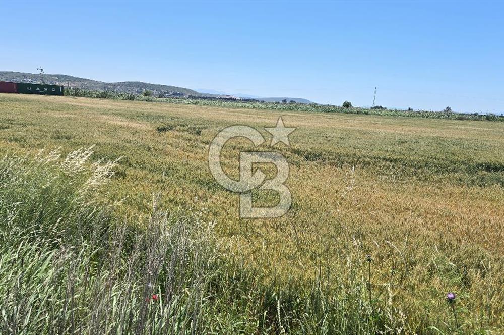 Foça Gerenköy Anayol Üzeri Satılık Tarla