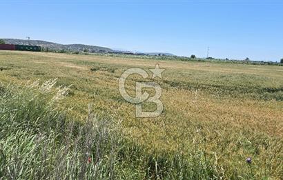 Foça Gerenköy Anayol Üzeri Satılık Tarla