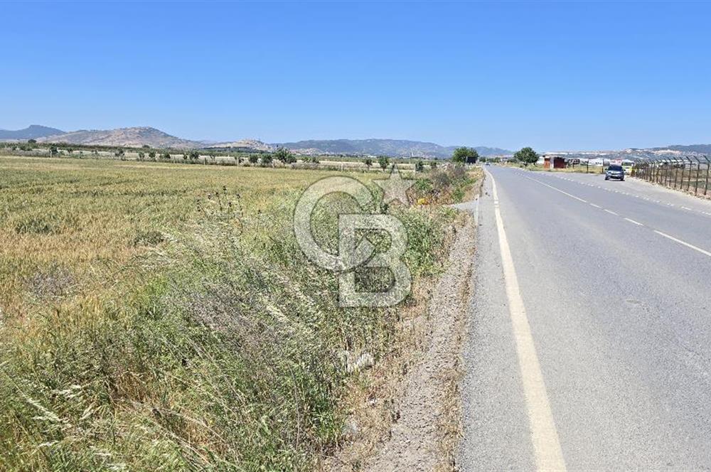 Foça Gerenköy Anayol Üzeri Satılık Tarla