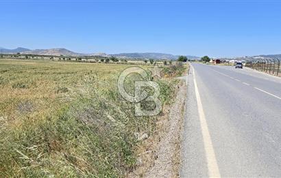 Foça Gerenköy Anayol Üzeri Satılık Tarla