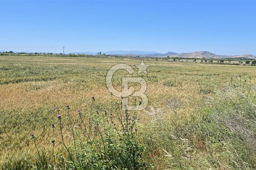 Foça Gerenköy Anayol Üzeri Satılık Tarla