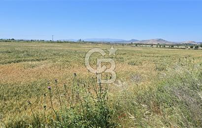 Foça Gerenköy Anayol Üzeri Satılık Tarla