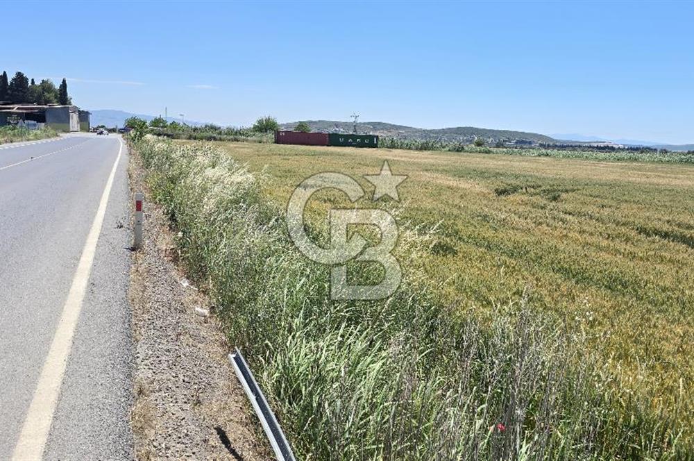 Foça Gerenköy Anayol Üzeri Satılık Tarla