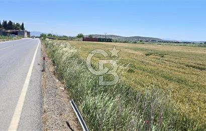 Foça Gerenköy Anayol Üzeri Satılık Tarla