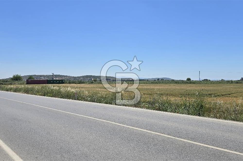 Foça Gerenköy Anayol Üzeri Satılık Tarla