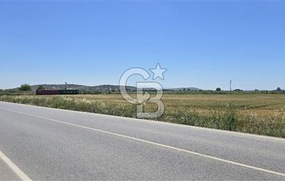 Foça Gerenköy Anayol Üzeri Satılık Tarla