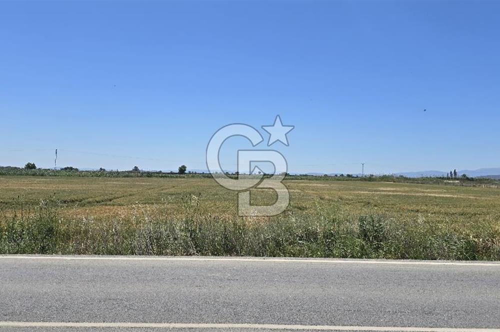 Foça Gerenköy Anayol Üzeri Satılık Tarla