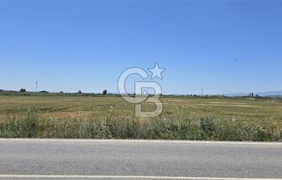Foça Gerenköy Anayol Üzeri Satılık Tarla