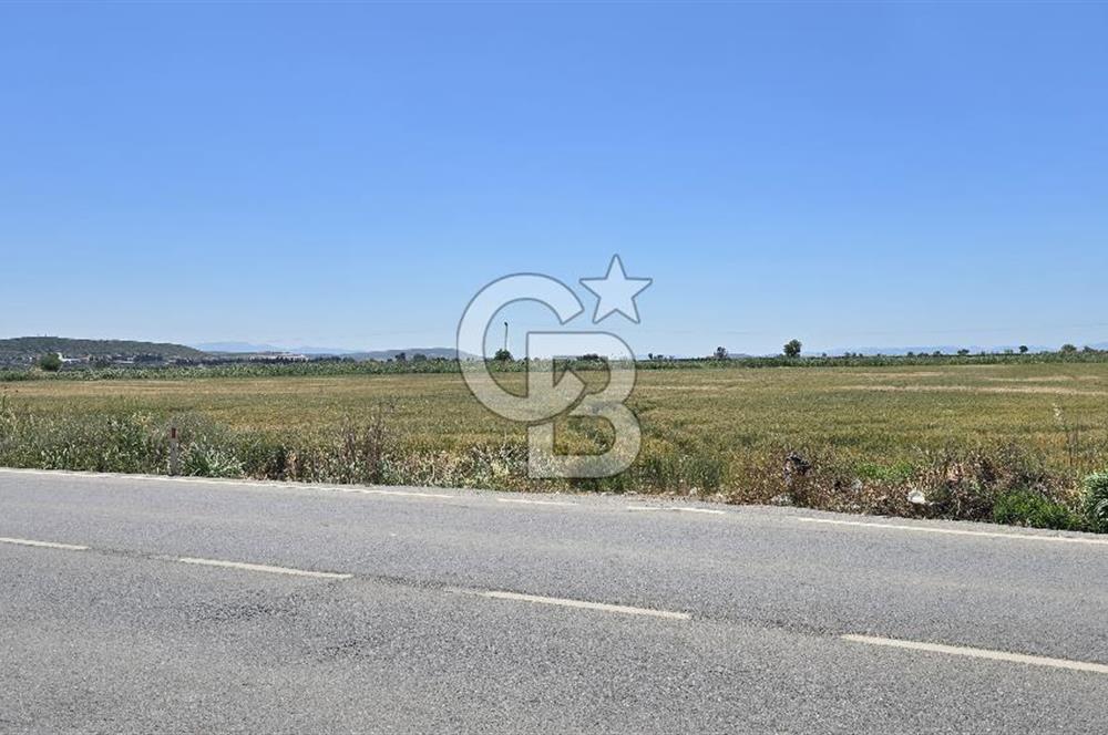 Foça Gerenköy Anayol Üzeri Satılık Tarla
