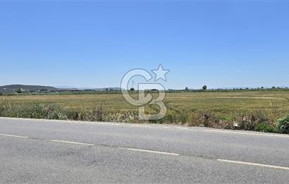 Foça Gerenköy Anayol Üzeri Satılık Tarla