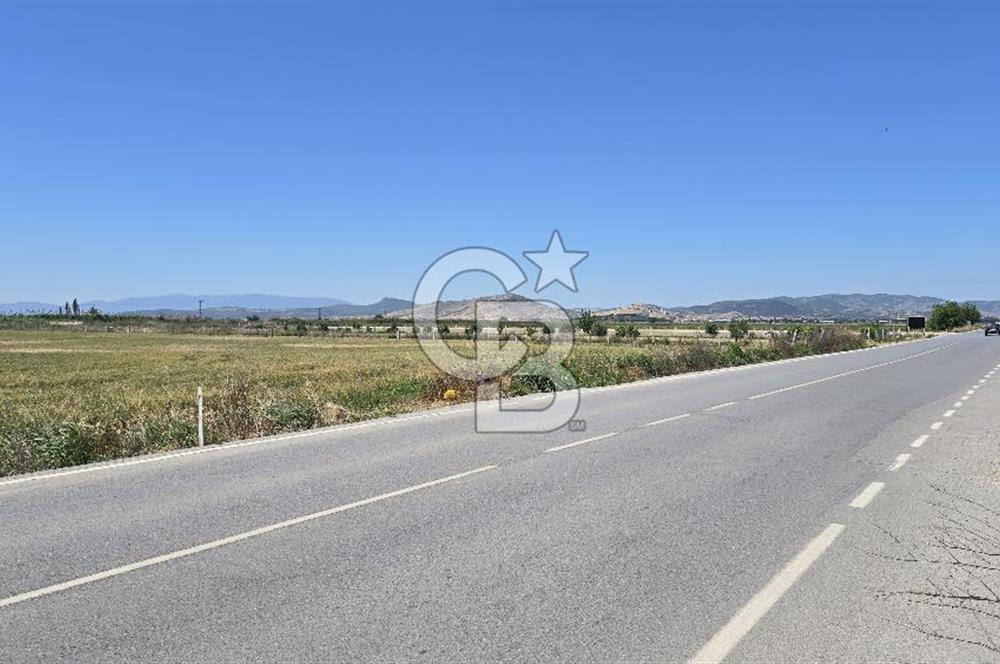 Foça Gerenköy Anayol Üzeri Satılık Tarla