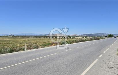 Foça Gerenköy Anayol Üzeri Satılık Tarla