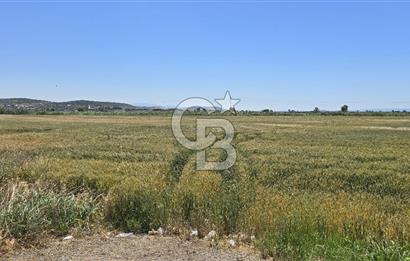 Foça Gerenköy Anayol Üzeri Satılık Tarla