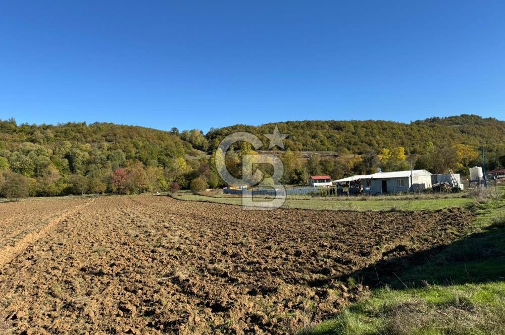 CB NETA METEHAN ÇETİN'DEN SATILIK YATIRIMLIK TARLA