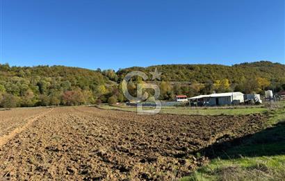 CB NETA METEHAN ÇETİN'DEN SATILIK YATIRIMLIK TARLA