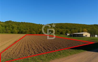 CB NETA METEHAN ÇETİN'DEN SATILIK YATIRIMLIK TARLA