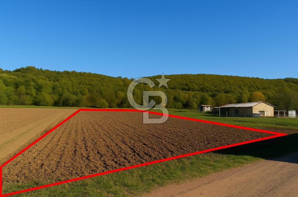 CB NETA METEHAN ÇETİN'DEN SATILIK YATIRIMLIK TARLA