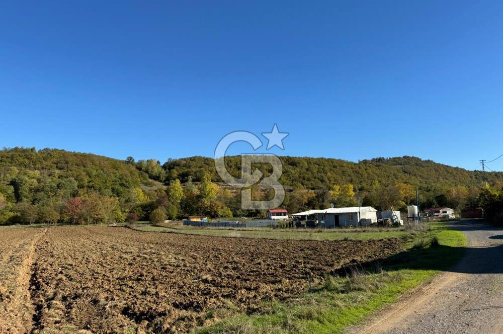 CB NETA METEHAN ÇETİN'DEN SATILIK YATIRIMLIK TARLA