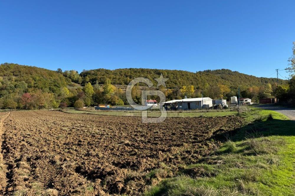 CB NETA METEHAN ÇETİN'DEN SATILIK YATIRIMLIK TARLA