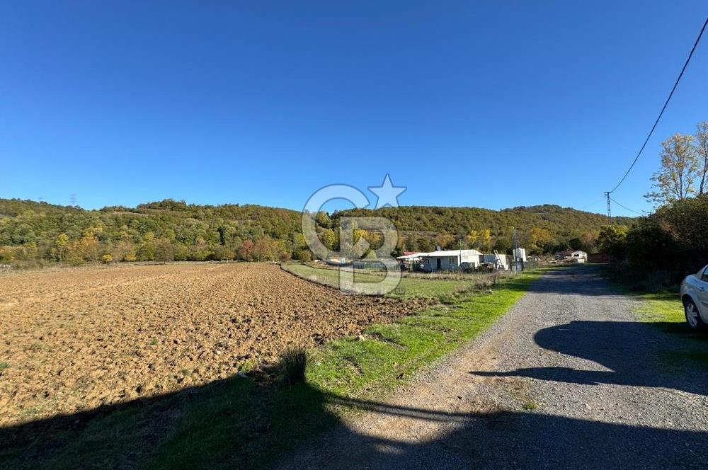 CB NETA METEHAN ÇETİN'DEN SATILIK YATIRIMLIK TARLA