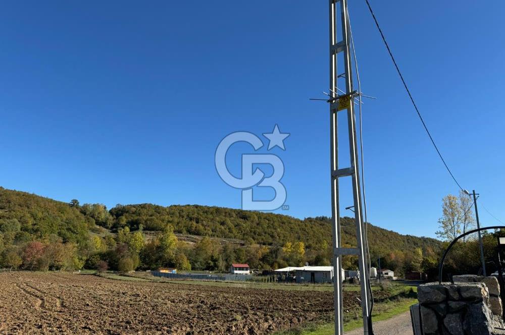 CB NETA METEHAN ÇETİN'DEN SATILIK YATIRIMLIK TARLA