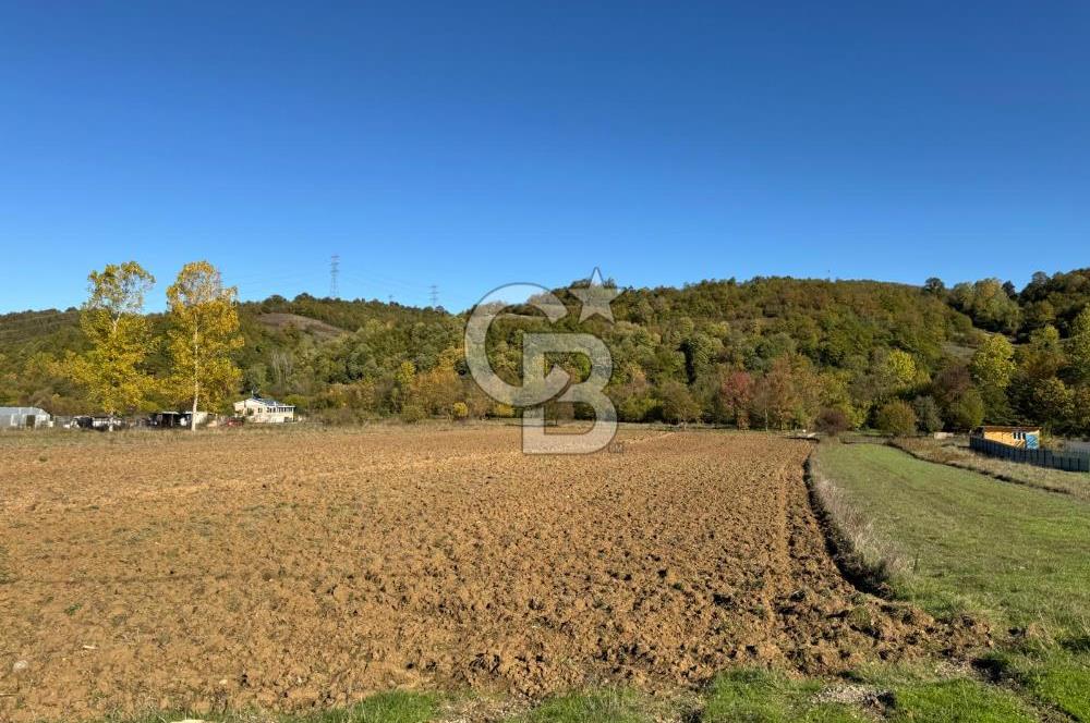 CB NETA METEHAN ÇETİN'DEN SATILIK YATIRIMLIK TARLA