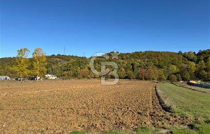 CB NETA METEHAN ÇETİN'DEN SATILIK YATIRIMLIK TARLA