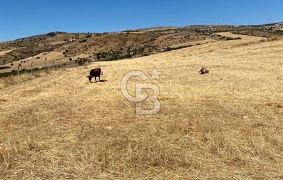 COLDWELL BANKER BUSİNESS'DEN MEMLİK TEK TAPU 5000M2 SATILIKTARLA